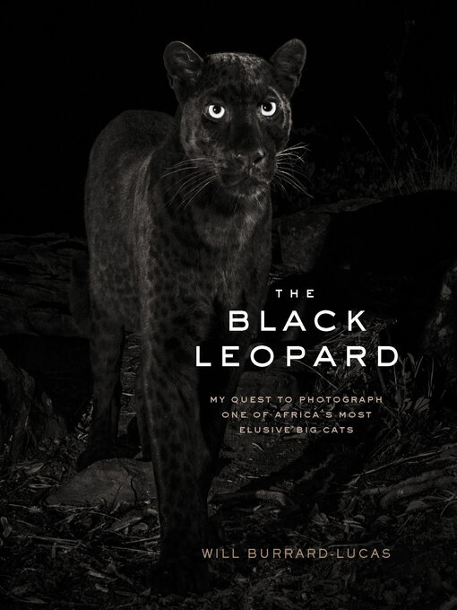 Title details for The Black Leopard by Will Burrard-Lucas - Available